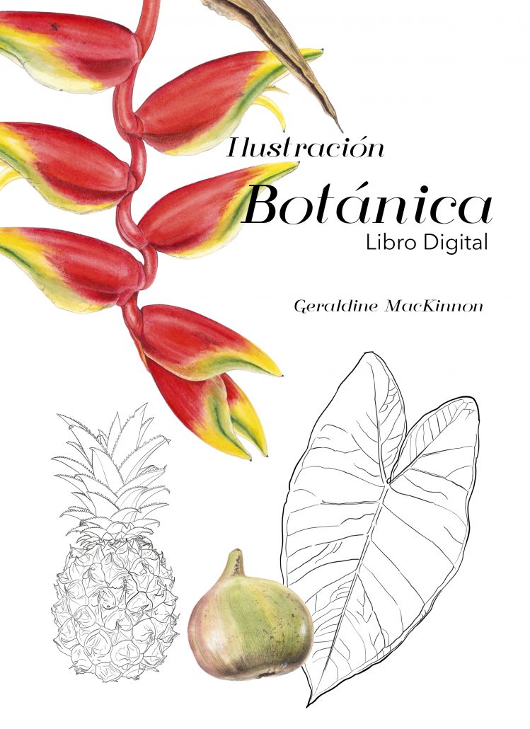 Ilustración Botánica, Libro digital - PDF | GMK